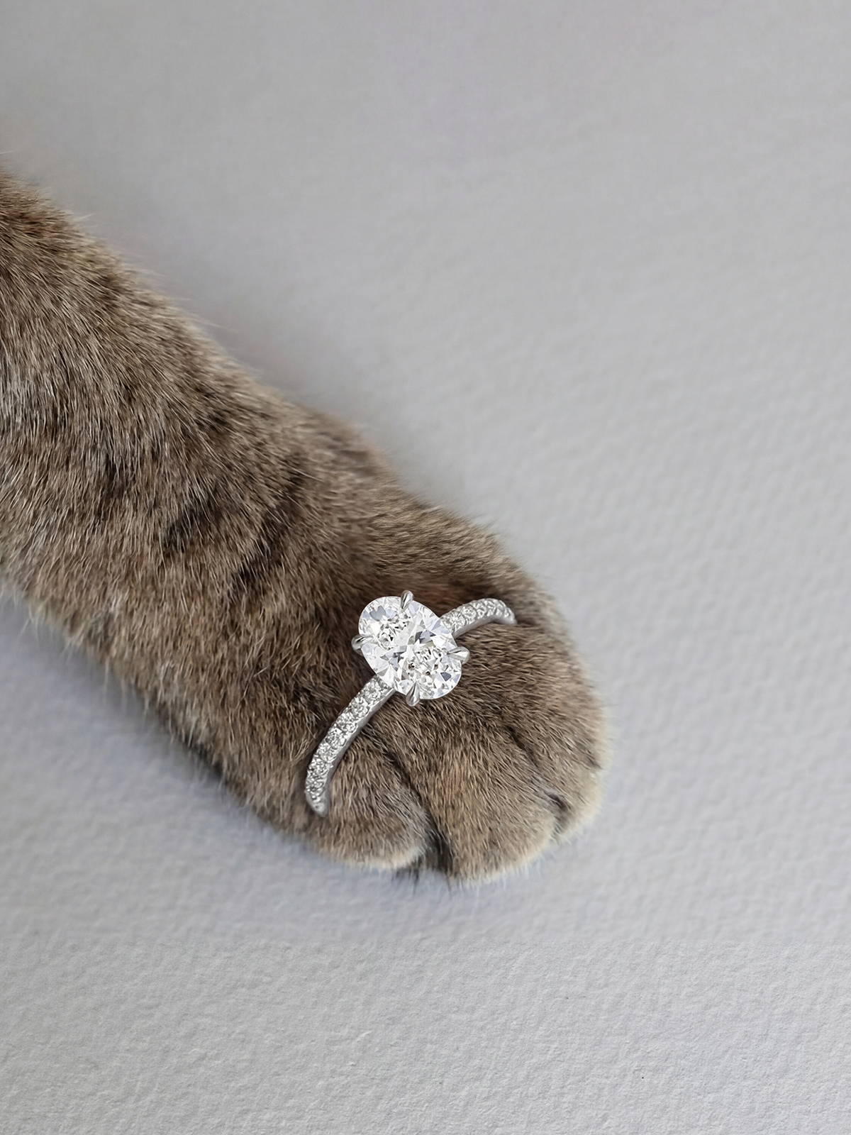1.2CT | Oval Cut Style Stone-Set Ring