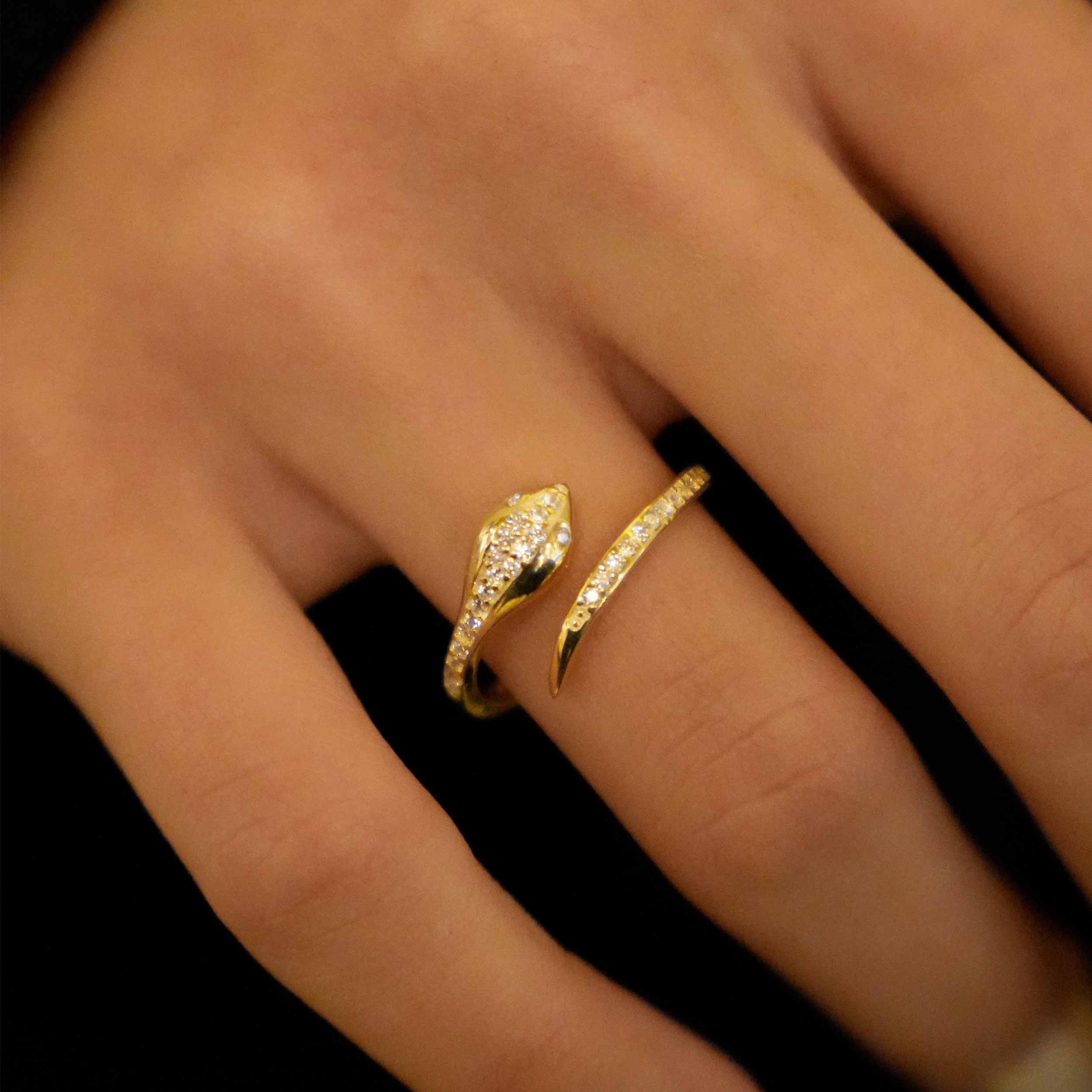 Stony Snake Ring