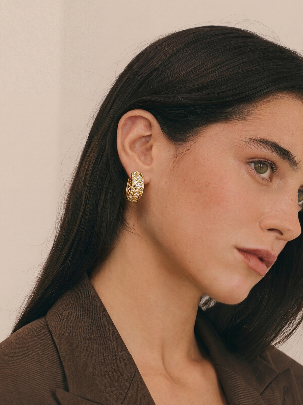 Elion Hoop Earrings